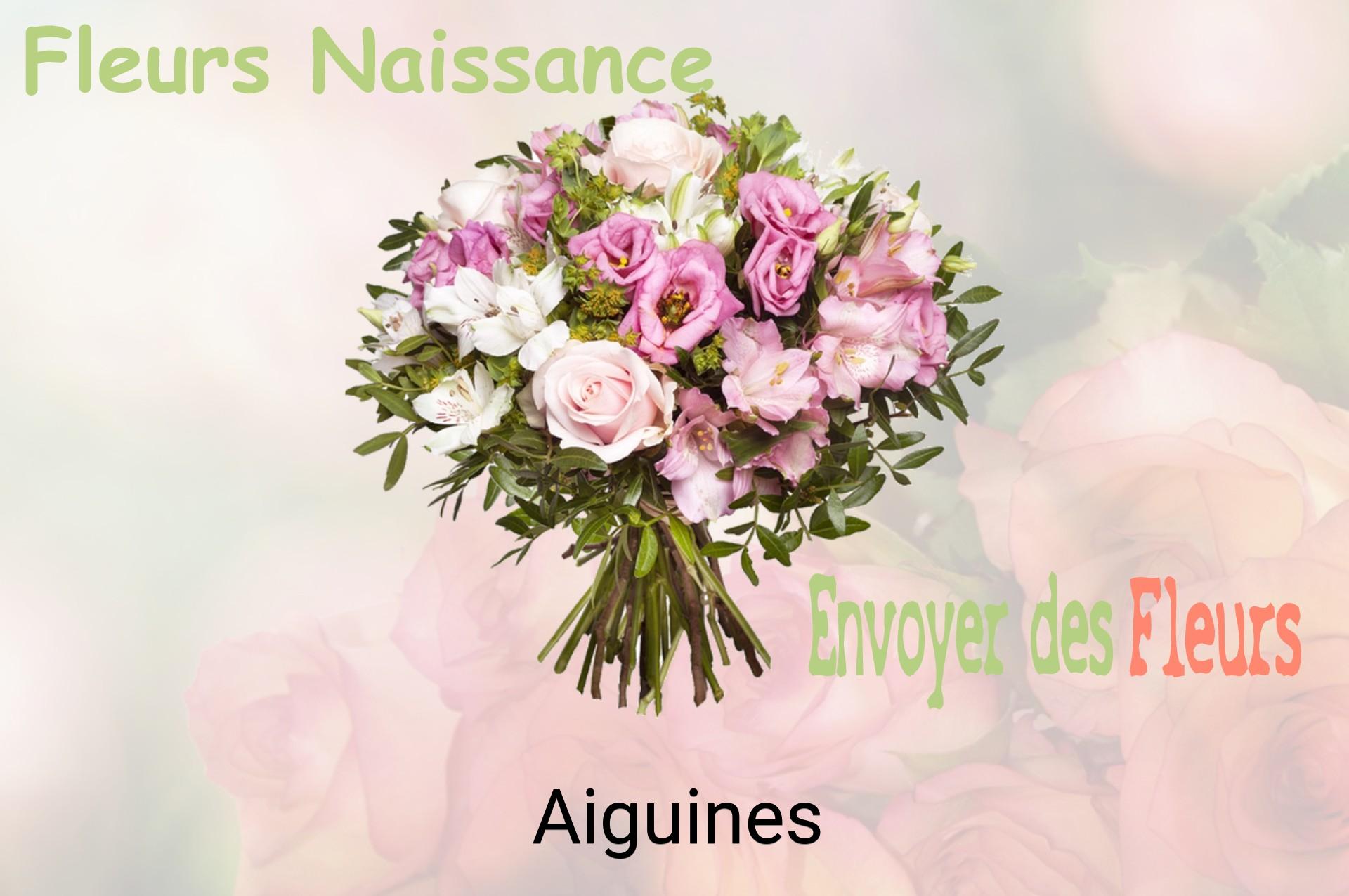 Bouquet de fleurs de naissance livré à Aiguines