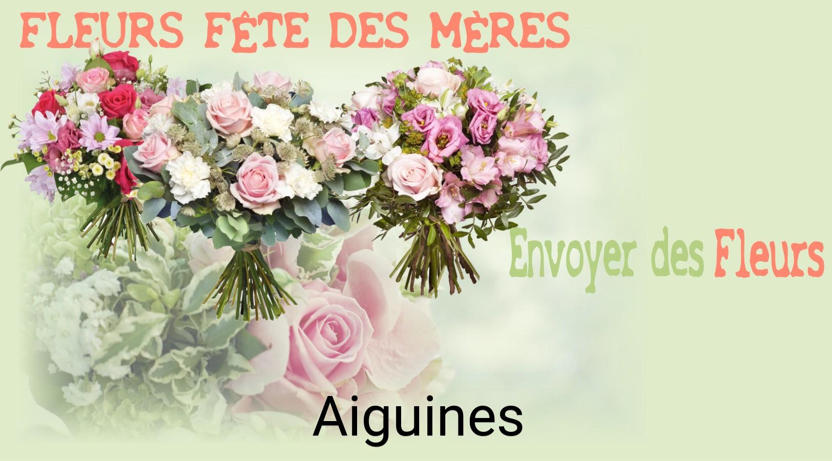 Bouquet de Fête des Mères livré à Aiguines